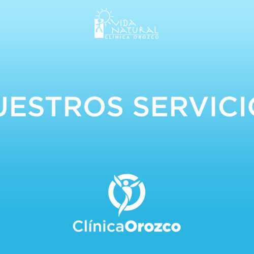 Nuestros Servicios