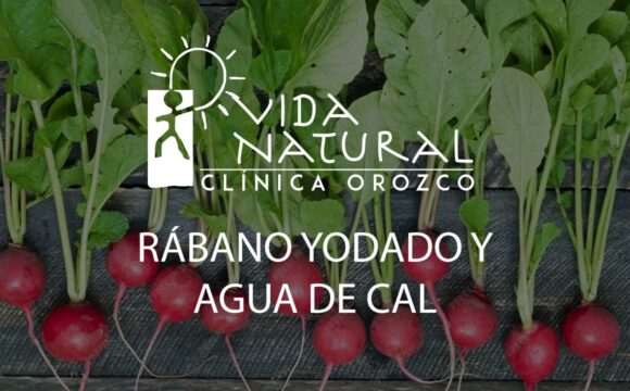 Vida Natural: Rabano Yodado Agua de Cal